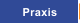 Praxis