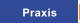 Praxis